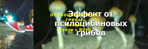 2c-b Пестово