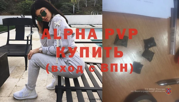 spice Покачи