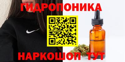 прущие грибы Будённовск