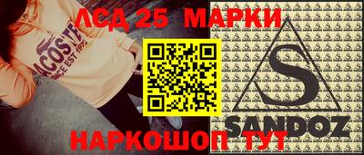прущие грибы Будённовск