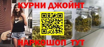 прущие грибы Будённовск