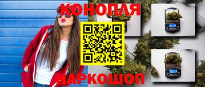 стаф Бугуруслан