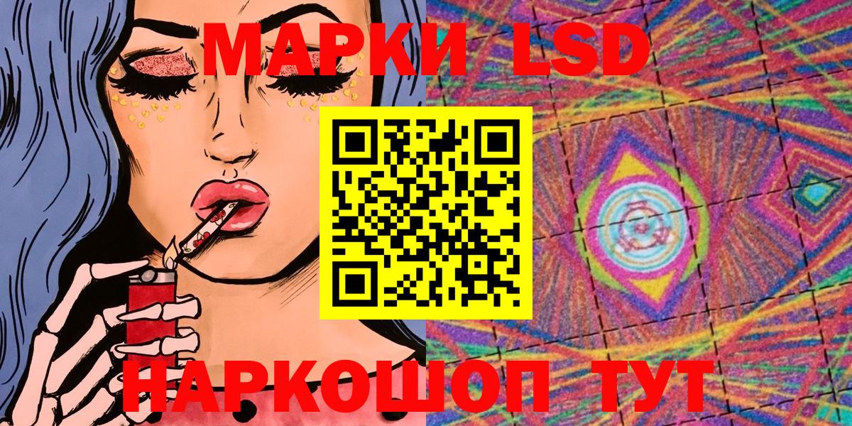 МЕФ Губкинский