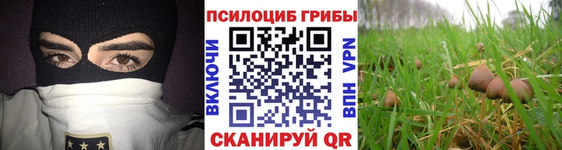 Псилоцибиновые грибы MAGIC MUSHROOMS  где продают   Губкинский 