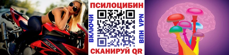 Галлюциногенные грибы мицелий Губкинский