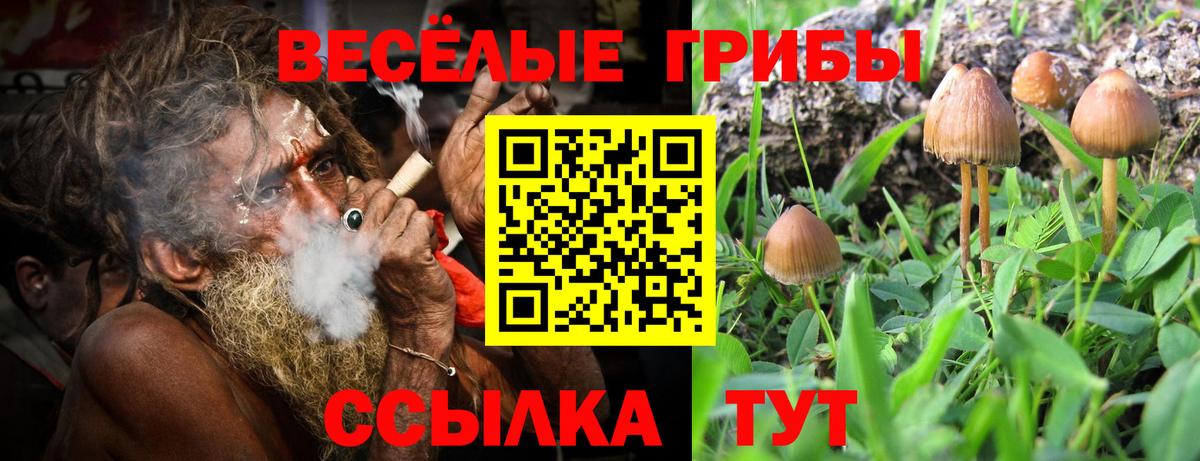 Псилоцибиновые грибы Magic Shrooms  Губкинский 