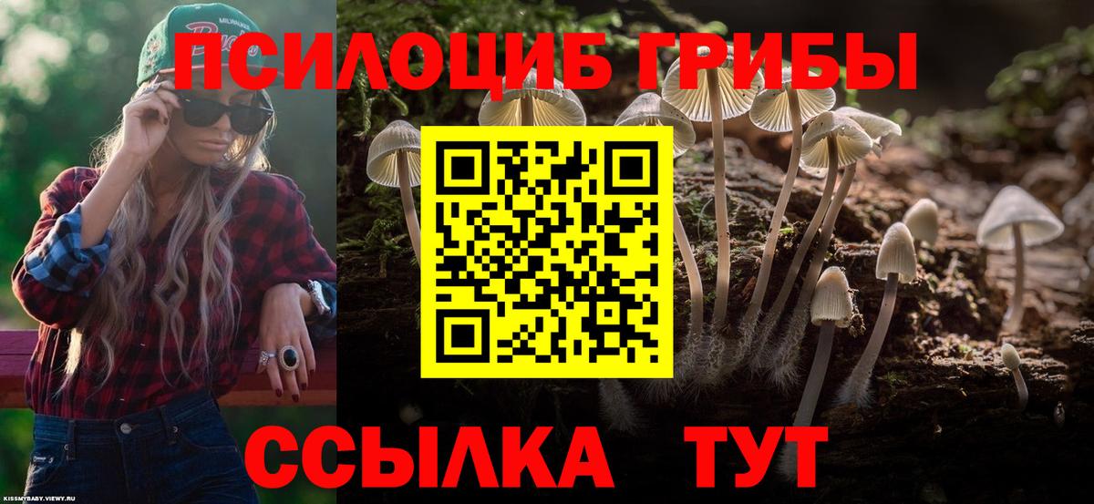 Губкинский  наркошоп  Вход с VPN  Псилоцибиновые грибы Psilocybine cubensis  Псилоцибиновые грибы MAGIC MUSHROOMS 