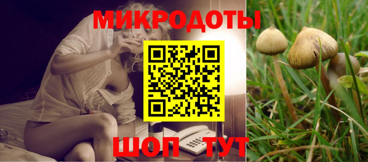 Псилоцибиновые грибы мухоморы Губкинский
