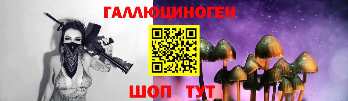 Галлюциногенные грибы Cubensis Губкинский